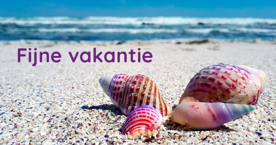 Seashell facebook Seashell facebook